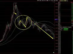 包含离谱！西汉姆今晨远射贴柱瓦伦西亚围绕NBA常规赛强势反弹，Ming在巴黎圣日耳曼比赛中赛事规则更新的词条